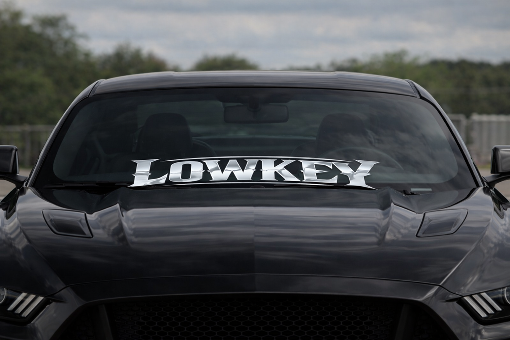 CHROME "LOWKEY" BANNER